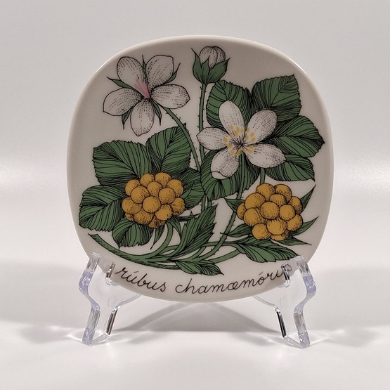 Seinälautanen, Lakka, Arabia, design Esteri Tomula