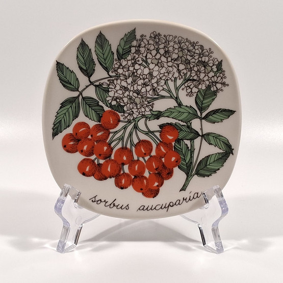 Seinälautanen, Pihlaja, Arabia, design Esteri Tomula