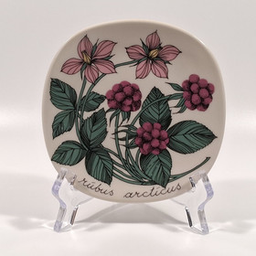 Seinälautanen, Mesimarja, Arabia, design Esteri Tomula