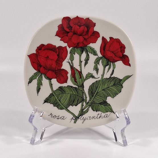 Seinälautanen, Rosa polyantha, Arabia, design Esteri Tomula