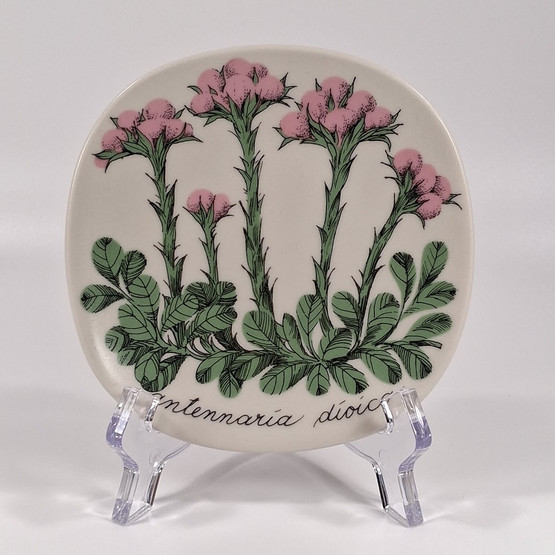 Seinälautanen, Kissankäpälä, Arabia, design Esteri Tomula