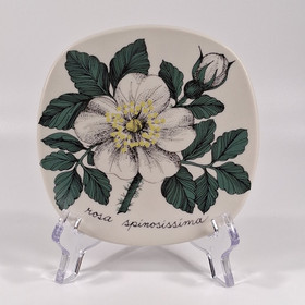 Wall plate, Midsummer Rose, Arabia, design Esteri Tomula
