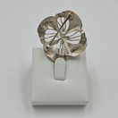 Rintakoru, Valokoru, hopeaa