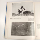 Kirja, Ilmapuolustus sanoin ja kuvin v. 1937