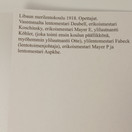 Korttisarja, Suomalaiset lentäjät taivaan valloittajina 1918