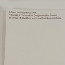 Korttisarja, Suomalaiset lentäjät taivaan valloittajina 1918