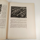 Kirja, Eliel Saarinen 1915, Munksnäs Haga och Stor-Helsingfors