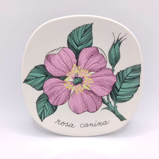 Seinälautanen, Arabia, design Esteri Tomula