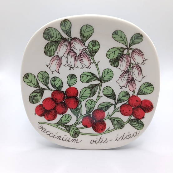 Seinälautanen, Arabia, design Esteri Tomula