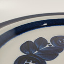 Tarjoiluastia, Anemone, Arabia