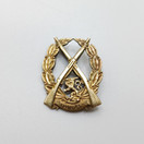 Ampumamerkki, För Fosterlandet, hopeaa