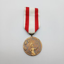 Mitali, Kotirintamanaisen mitali