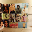 LP-levy, Paul McCartney