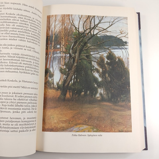 Kirja, Tuntematon Sotilas, Väinö Linna