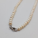 Kaulakoru, Kedolla, design Assi Arnimaa