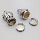 Hopeasirotin 2kpl, Isäntä ja Emäntä