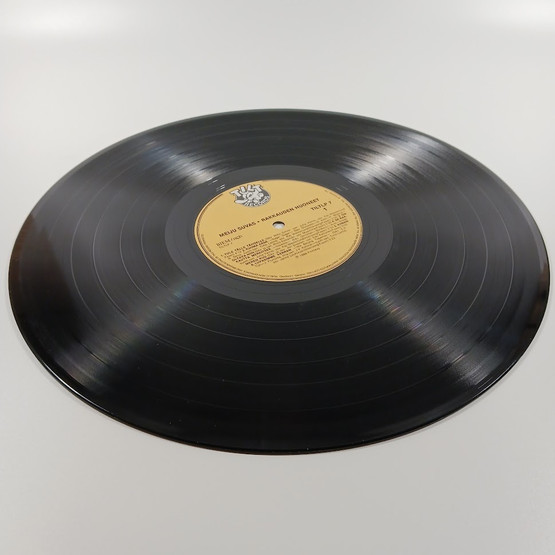 LP-levy, Meiju Suvas, Rakkauden huoneet