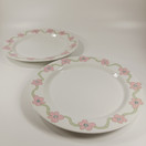 Lautanen 2kpl, Villiruusu, Arabia