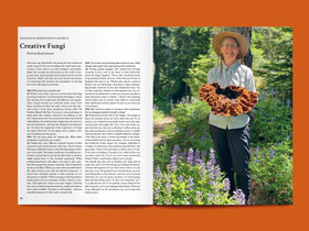 Tauko Magazine: Issue No. 4 Fungi 2022