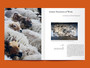 Tauko Magazine: Issue No. 5 Sheep 2022
