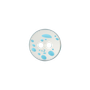 Prym: Läpinäkyvä muovinappi 14mm, turkoosi