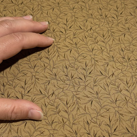 Puuvilla: Lehtiköynnökset, vaaleanruskea