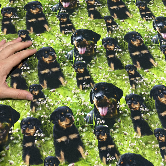 Luomupuuvillatrikoo: Rottweiler, musta - vihreä