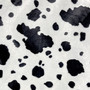 Velboa, kepparikangas: Lehmäkuvio, mustavalkoinen