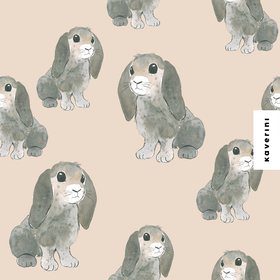 Kaverini: Santtu trikoo, santa