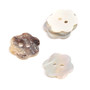 Drops: Nappi kukka 15mm, natural / valkoinen