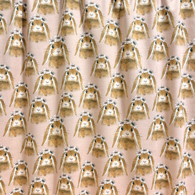 Kaverini: Alice puuvilla, roosa