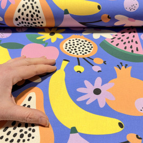 Canvas: Hedelmät, sininen - keltainen - oranssi - vaaleanpunainen