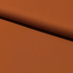 Canvas: Konjakki