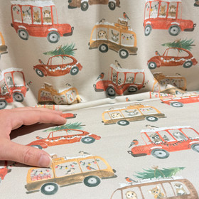 Kaverini: Joulumatka trikoo