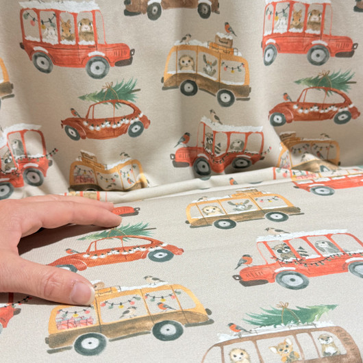 Kaverini: Joulumatka trikoo