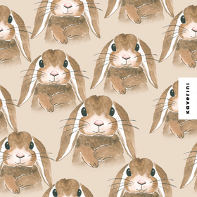 Kaverini verkkari: Luppakorva, santa