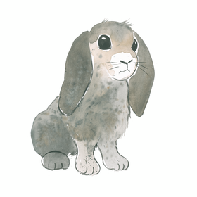 Kaverini silityskuva: Luppakorva Santtu, 14,5cm