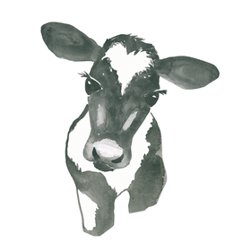 Kaverini silityskuva: Yövilkka, pieni 8cm ja iso 14,5cm