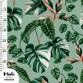 Mieli Design: PARADISE dusty green, luomupuuvillatrikoo