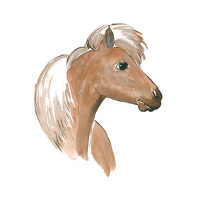 Kaverini silityskuva: Poni, pieni 8cm ja iso 14,5cm