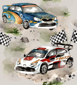 Hento Style: Puuvillatrikoo, Ralliautot ISO, hiekka