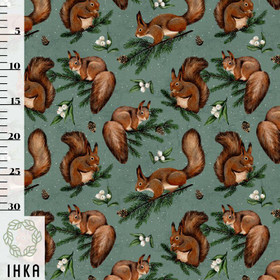 Ihka Clothing: Winter Branch luomupuuvillatrikoo, sea green