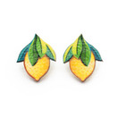 Minisitruuna – nappikorvakorut