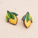 Minisitruuna – nappikorvakorut