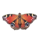 Neitoperhonen – hiusklipsi