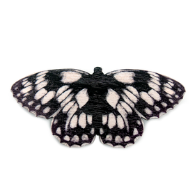 Ruutuperhonen – hiusklipsi