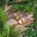 Tammenterho – nappikorvakorut