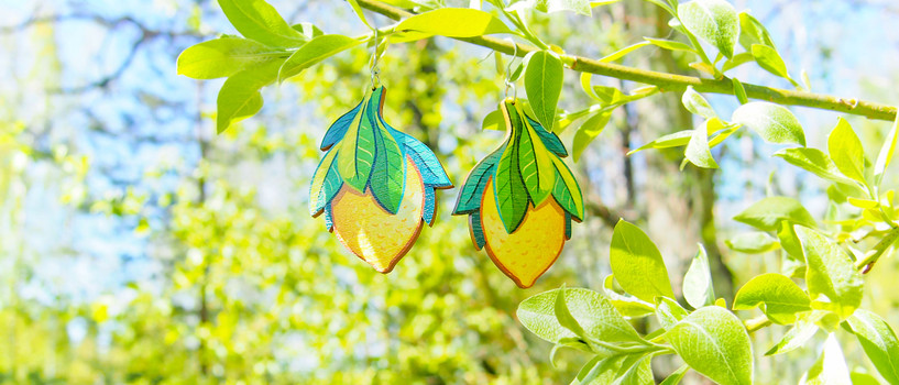 Nooran Sitruuna-korvakorut