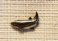 Lohipinssi