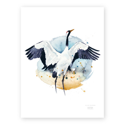 Ester Visual: Kurki 30x40 cm
